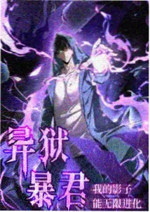 动漫番剧夜航西飞冒险封面